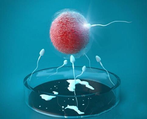 实验室设备